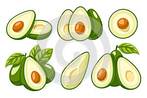 Set of fresh avocado icons isolated on white background