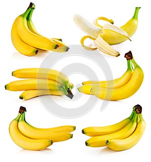 Set fresh banana fruits isolated on white