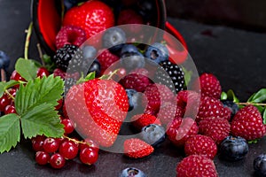 Set of fresh berries