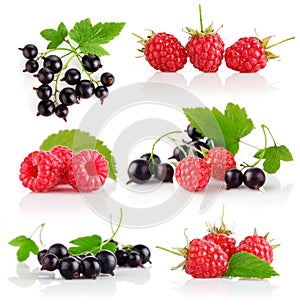 Set fresh berry fruits with green leaves