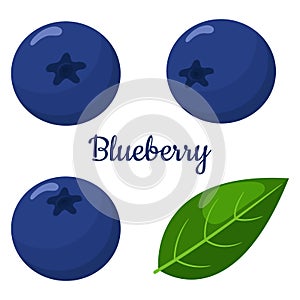 Set of fresh bright exotic blueberries isolated on white background. Summer fruits for healthy lifestyle. Organic fruit. Cartoon