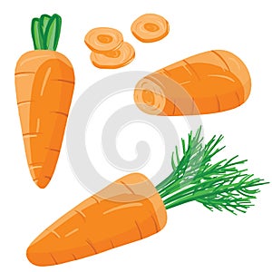 Set with fresh carrot - with greens, sliced, slices. Vector in cartoon realistic style. Ingredient for salad, soup. Tasty