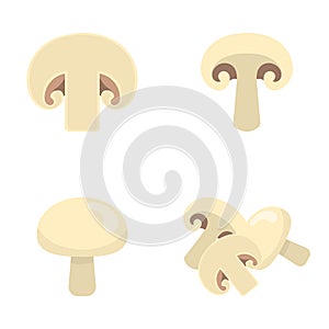 Set of fresh champignons isolated on white background. Mushroom icons for market, recipe design. Organic food. Cartoon style.