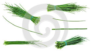 Set of fresh Chives isolated on white