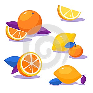 Set of fresh citruses. Oranges and lemons with leaf. Contrast gamma,flat graphics for package design,web desigh,souvenir