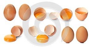 Set with fresh eggs