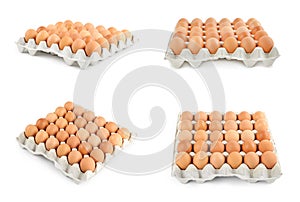 Set of fresh eggs on background