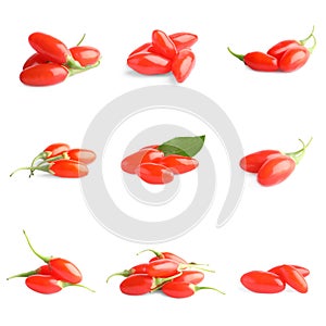 Set of fresh goji berries on background