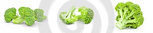 Set of fresh green broccoli on a white background clipping path