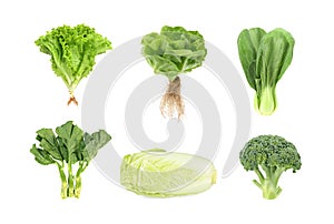 Set of fresh green vegetables isolated on white background