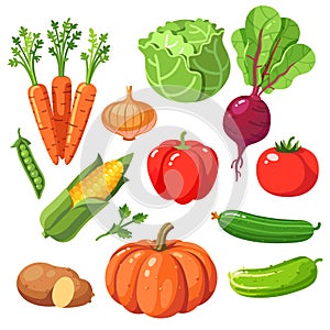 Set of fresh healthy vegetables