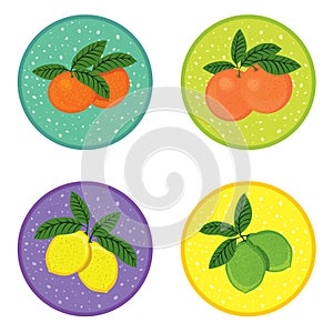Set of fresh juicy fruit icons