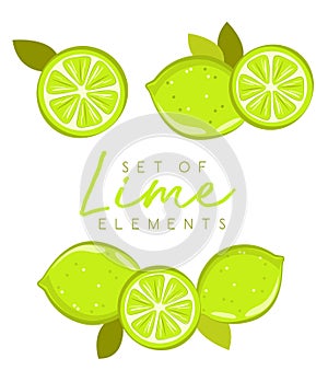 Set of fresh lime fruits, collection of vector illustrations
