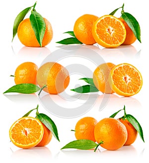 Set of fresh mandarine fruits with cut