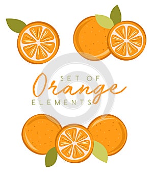 Set of fresh orange fruits, collection of vector illustrations