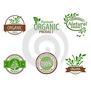 Set of Fresh Organic Labels and Elements