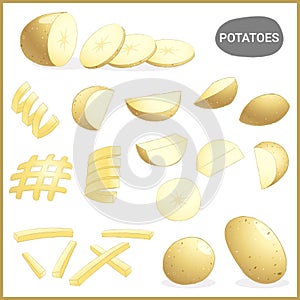 Set of fresh potatoes vegetable with various cuts and styles in vector illustration