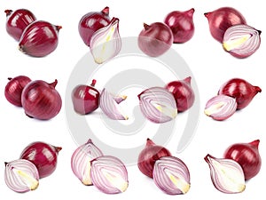 Set of fresh red onions on white
