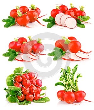 Set fresh red radish vegetables with green leaves