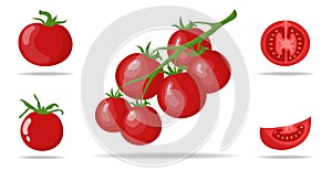 Set of Fresh Red Tomatoes isolated on white background. Branch, Whole, Half and Slice Tomato Icons for Market, Recipe Design.