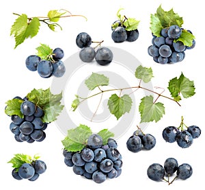 Set of fresh ripe grapes and leaves on white