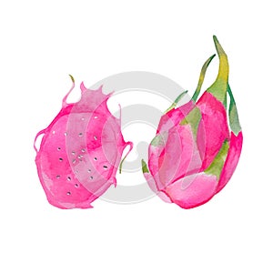 Pitaya roja pink dragonfruit Watercolor illustration photo