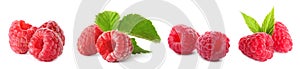 Set of fresh ripe raspberries with green leaves on white background. Banner design