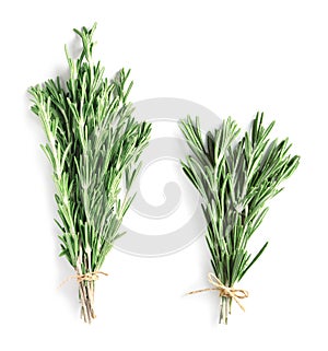 Set of fresh rosemary twigs on white background