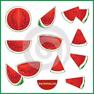 Set of fresh watermelon in various slice styles vector format
