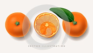 Set of fresh whole, cut slice and leaves orange fruit isolated on white background. Tangerine. Organic fruit, realistic