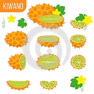 Set of fresh whole, half, cut slice kiwano fruits isolated on white background. Summer fruits for healthy lifestyle