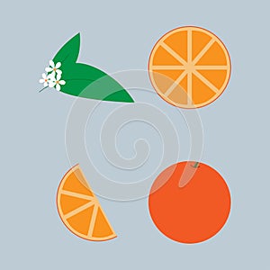 Set of fresh whole, half, cut slice and leaves orange fruit isolated on white background. Tangerine. Organic fruit