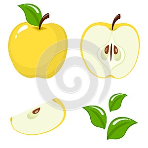 Set of fresh whole, half, cut slice and leaves yellow apple fruit isolated on white background. Summer fruits for healthy