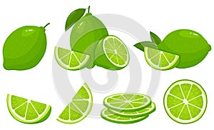 Set of fresh whole, half, cut slice lime fruits isolated on white background. Summer fruits for healthy lifestyle. Organic fruit.