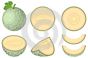 Set of fresh whole, half, cut slice melon fruit isolated on white background. Cantaloupe melon. Summer fruits for healthy