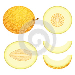 Set of fresh whole, half, cut slice melon fruit isolated on white background. Honeydew melon. Summer fruits for healthy lifestyle