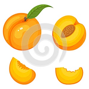 Set of fresh whole, half, cut slice peach fruits isolated on white background. Summer fruits for healthy lifestyle. Organic fruit