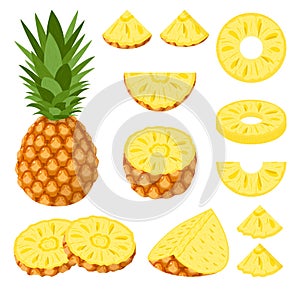Set of fresh whole, half, cut slice pineapple fruits isolated on white background. Summer fruits for healthy lifestyle. Organic