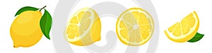 Set of fresh yellow lemons cartoon style. Vector illustration of fruits whole and cut into slices and halves, with a