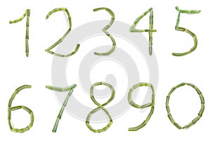 set of freshly green salicornia europaea plant sticks number 1 2 3 4 5 6 7 8 9 0 isolated (queller, sea aspargus)