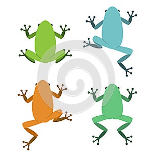 Set of frog in flat style, vector