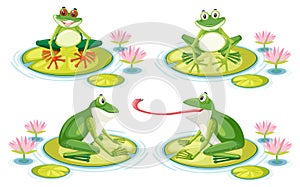 Set of frog on lotus pad