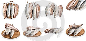 Set frozen fish isolated on white background with clipping path. The fish is laid out in groups of four. Set of assorted fresh,