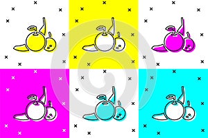 Set Fruit icon isolated on color background. Vector