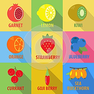 Set of fruit icons in flat design with long shadows