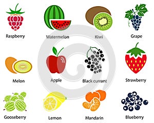 Set of Fruit Icons With Title