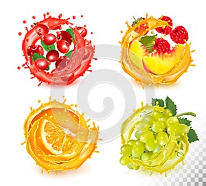 Set of fruit juice splash. Vector