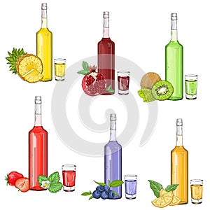 Set with fruit liqueurs and syrups vector illustration