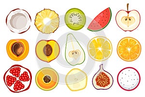 Set of Fruit Slices Coconut, Pineapple, Kiwi and Watermelon, Apple with Peach and Apricot. Pear, Orange and Lemon