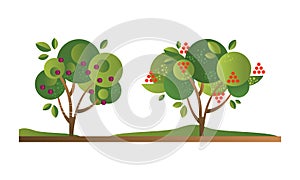 Set of Fruit Trees with Ripe Fruits, Cherry Orchard Tree Flat Vector Illustration